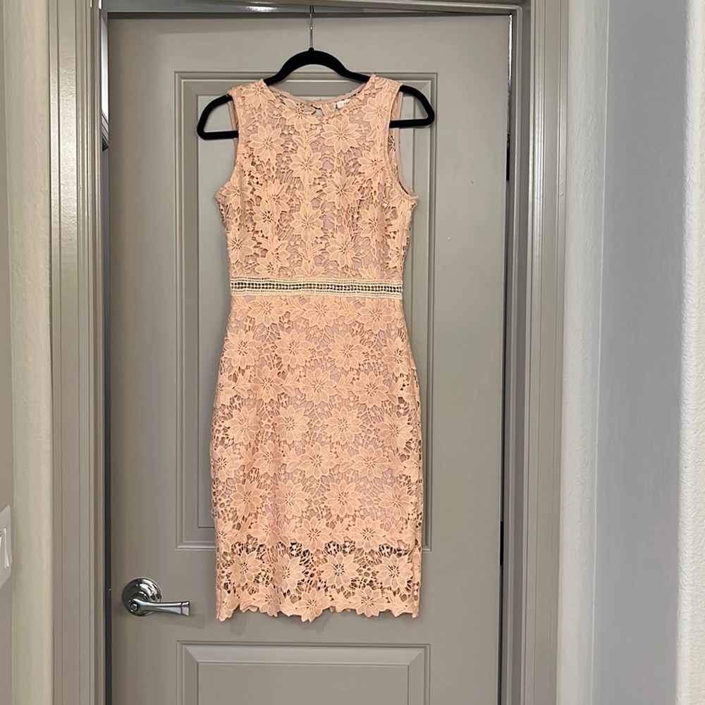 Pink lace bodycon open back cocktail dress